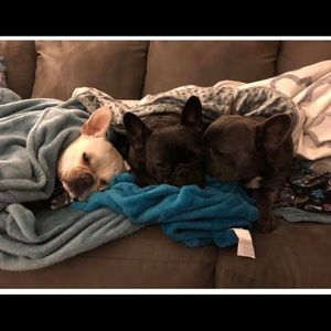 Meet your Posher, Brad